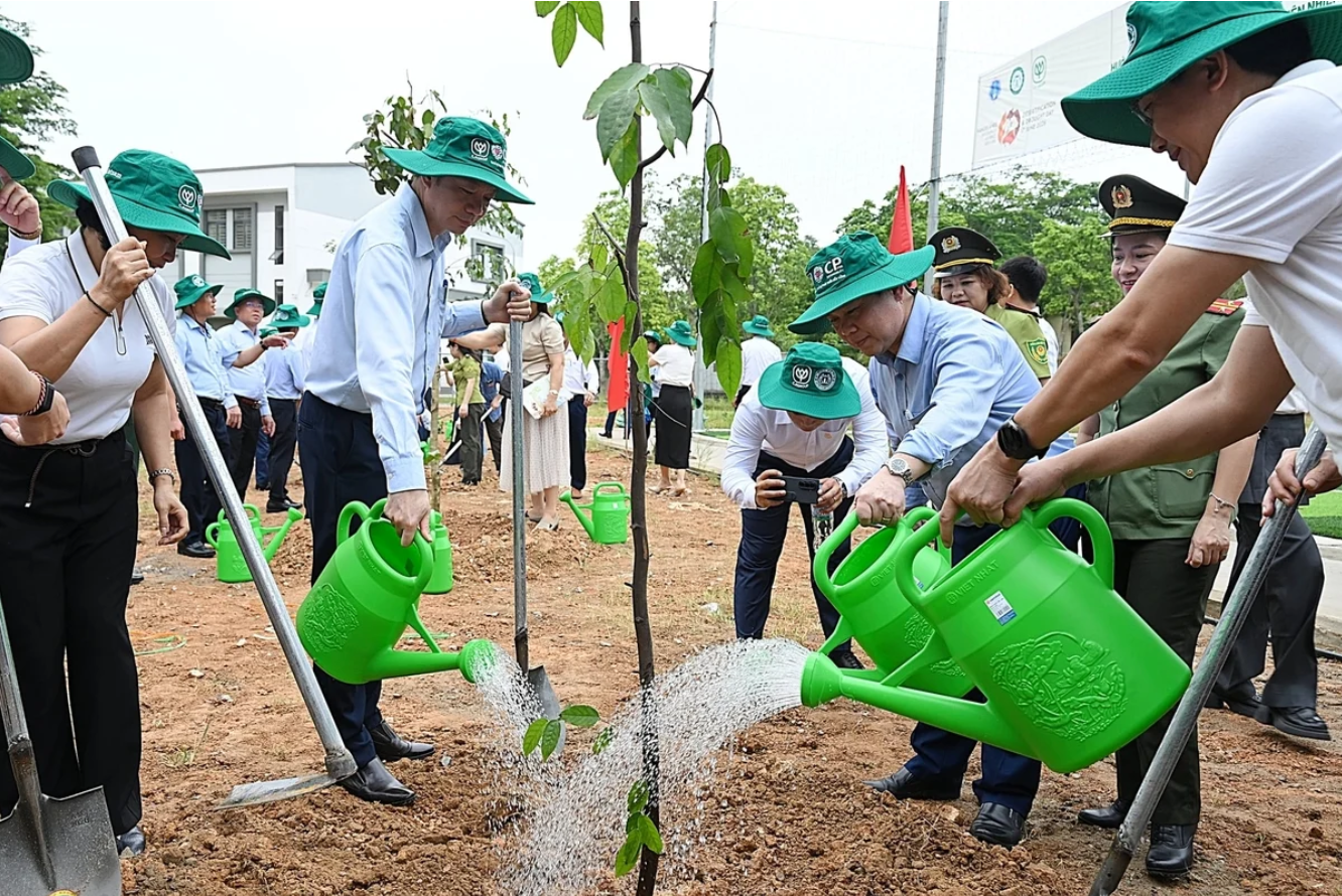 Every dollar invested in land restoration can generate $35 in value